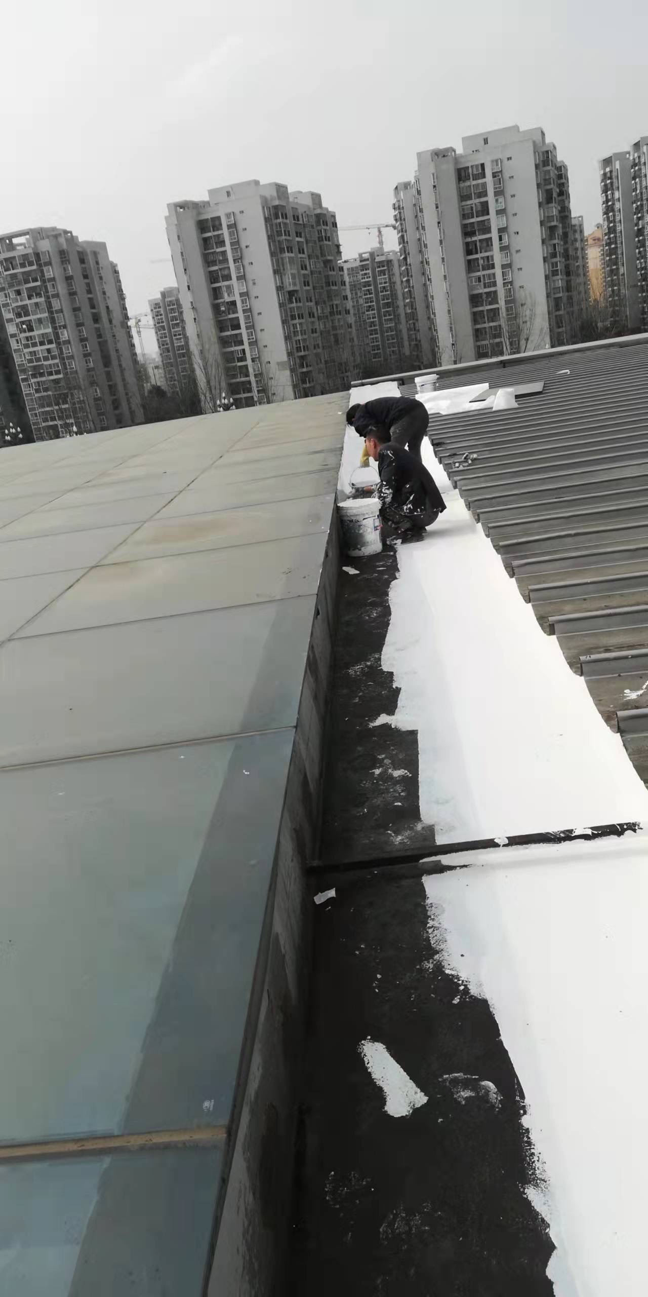 1646663297116321.jpg