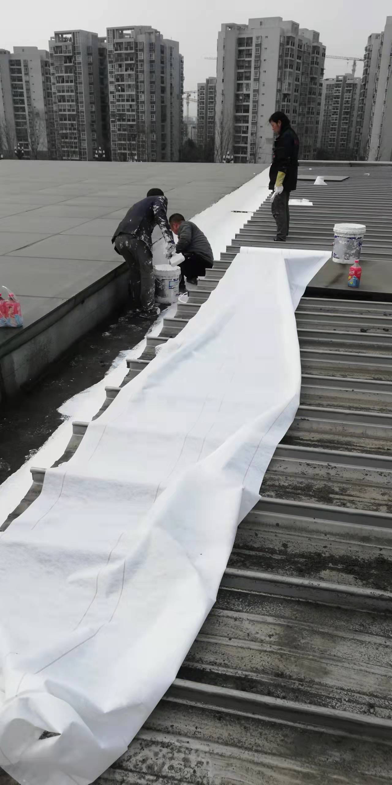 1646663298195250.jpg