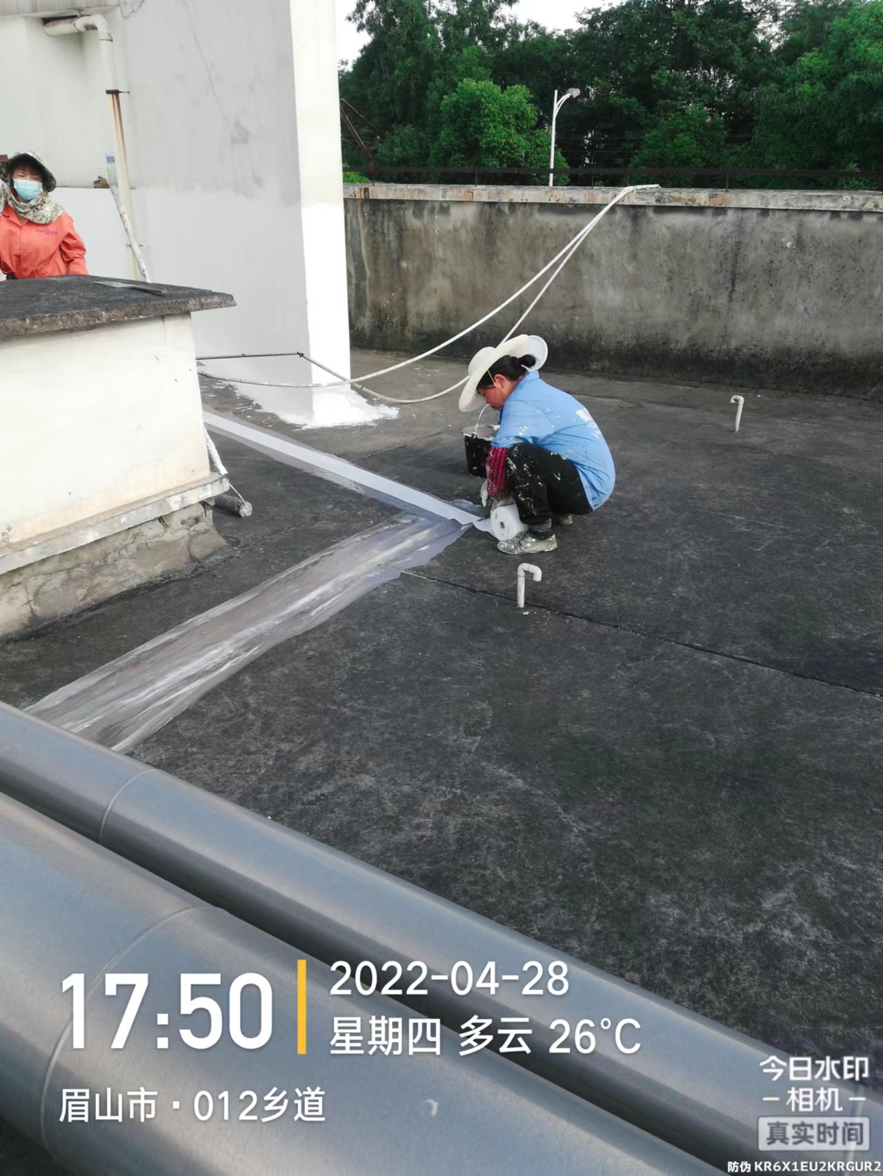 1654312321256532.jpg 1654312321256532.jpg