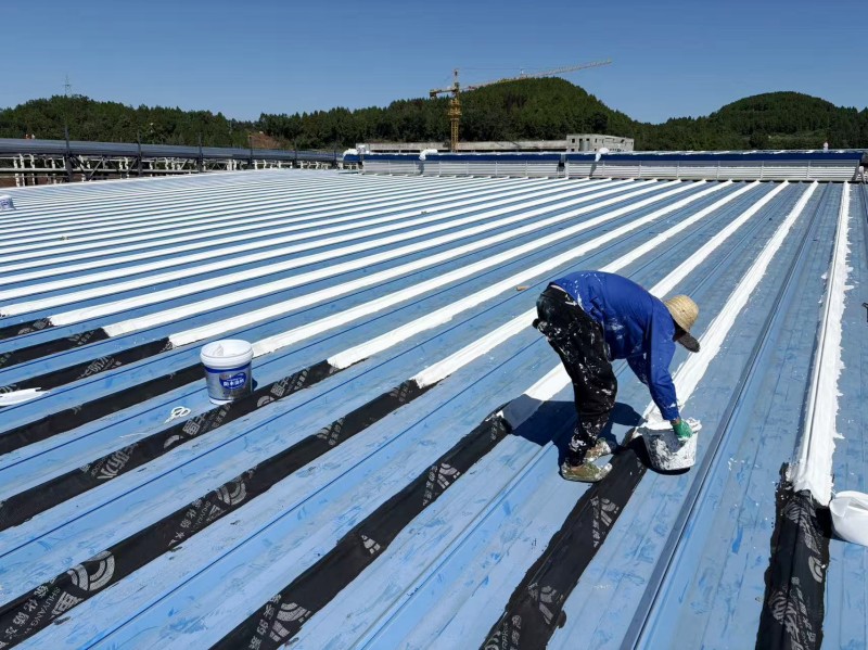 1778403715125382 conew_d44fefe5c5bca2f5c6bb1057f8495f87.jpg